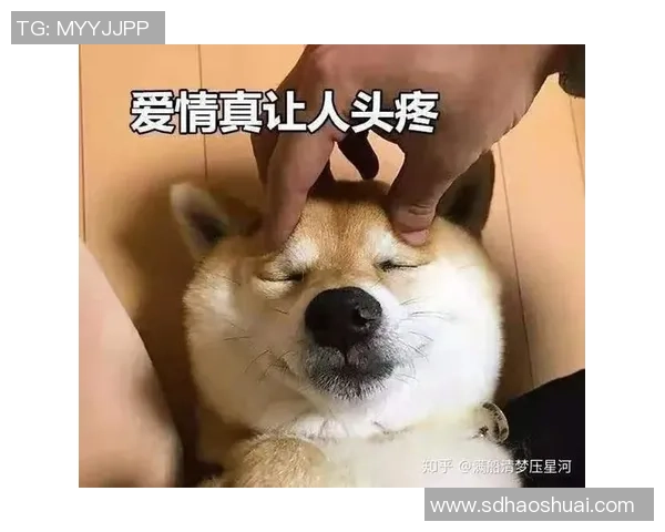 姚明表情猫的幽默瞬间揭示了运动员背后的真实情感与生活趣味